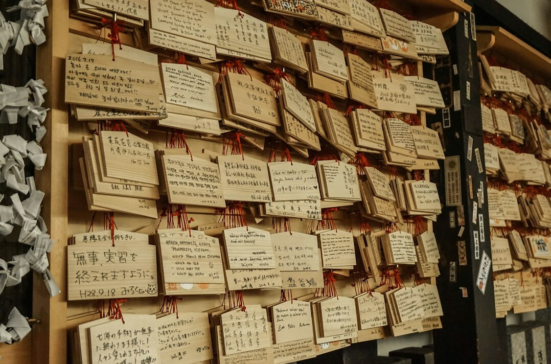 Wall with index cards and handwritten research notes